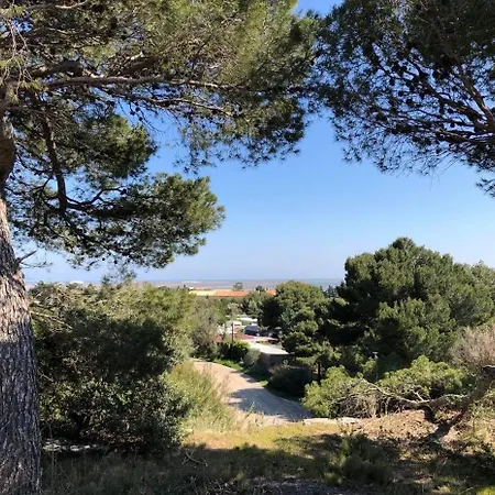 Studio Lapalme La Palme
